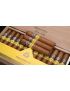 Wide Edmundo 10p, Montecristo